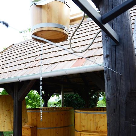 Falusi Patika - Tisza-tó Vendégház Tiszaszolos Exterior foto